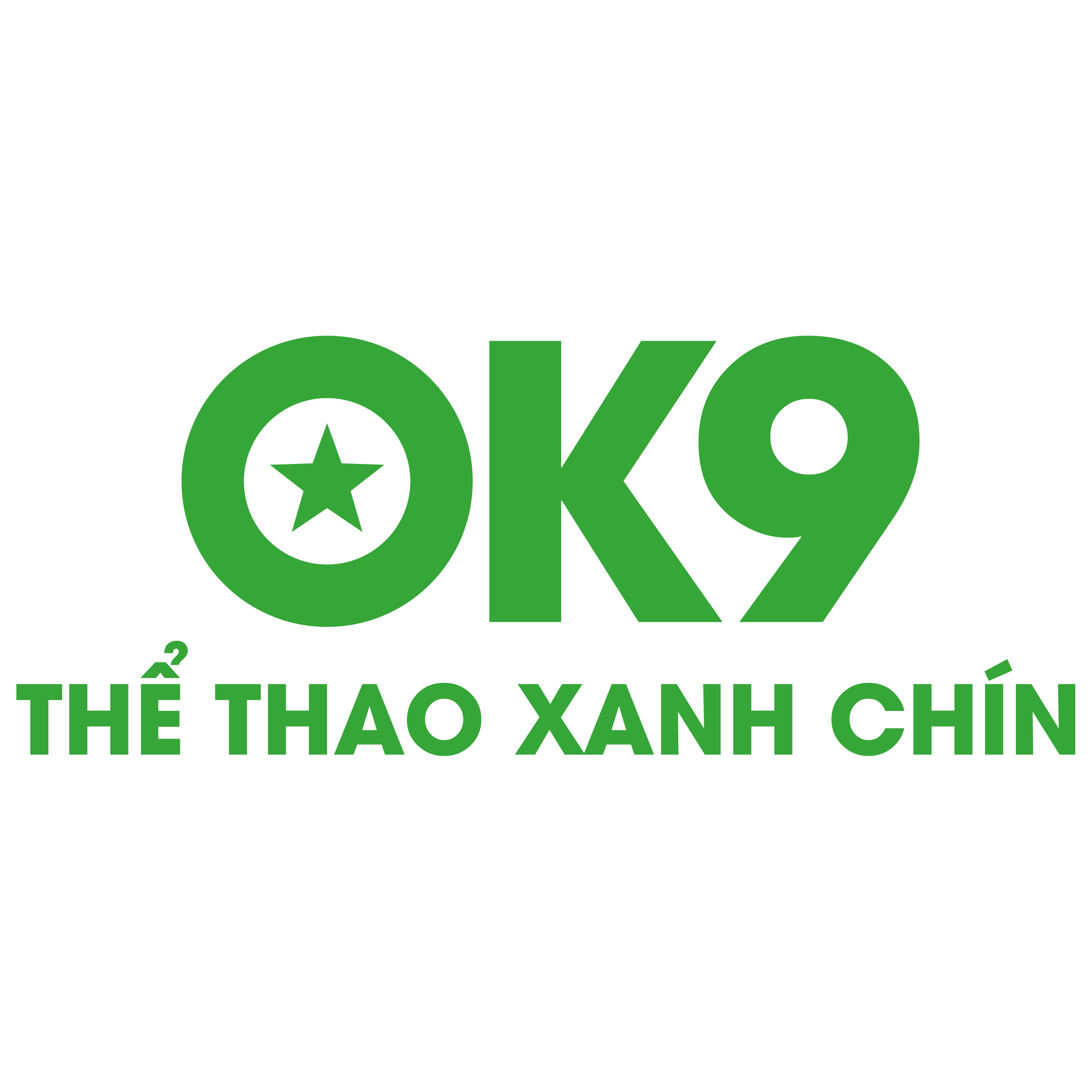 logo_ls